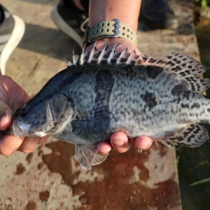 �@�ˣ�С����Z�~�r���30%���Z�~���25%��