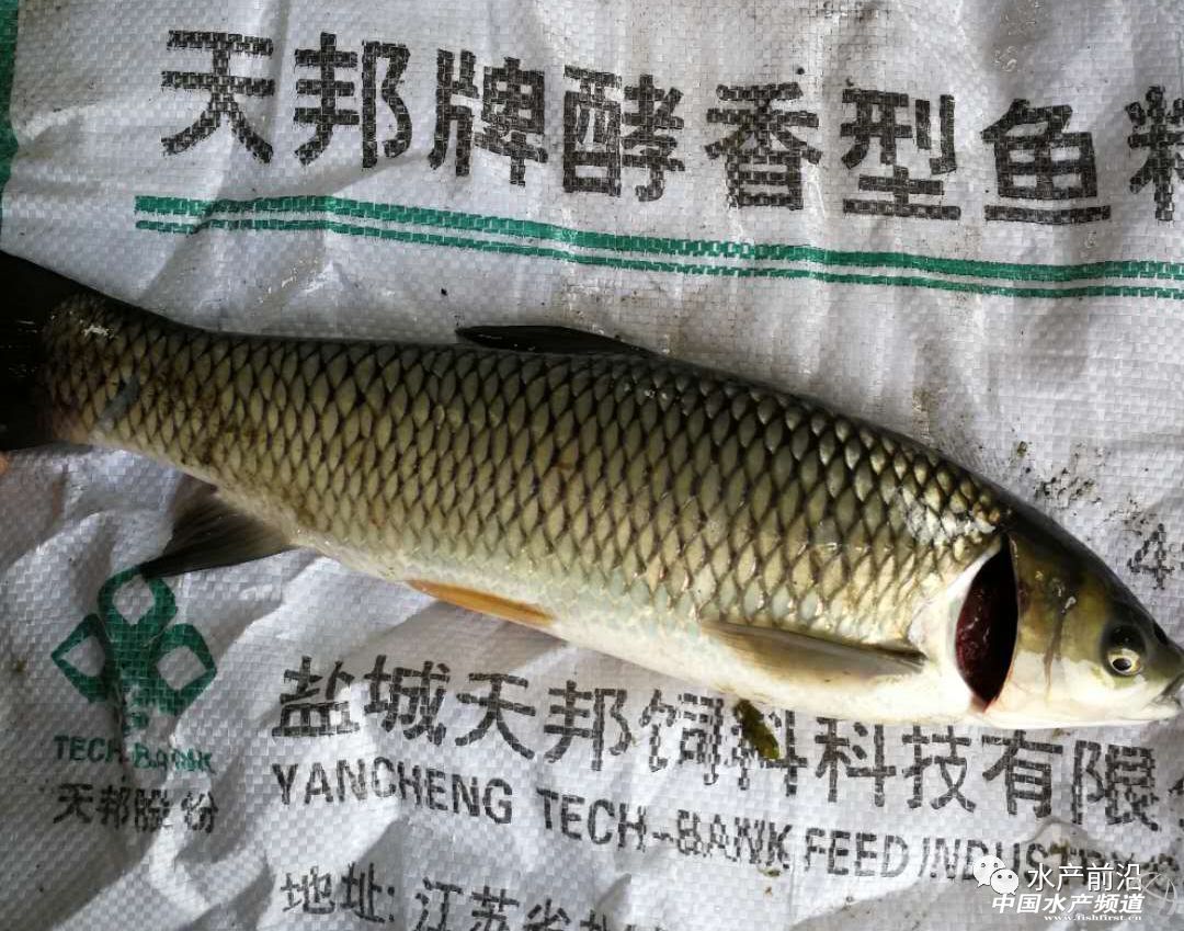 �ߣ�ÿ�����~400���l�����@һ�У�10�����͌����~��������