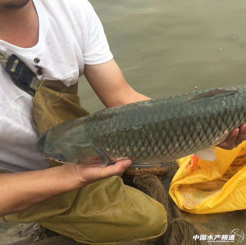 ������Ϣ����W��Y�������~�r���������F������