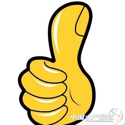 �@�N�x��������13�����Bֳ1����ٍ10�f��