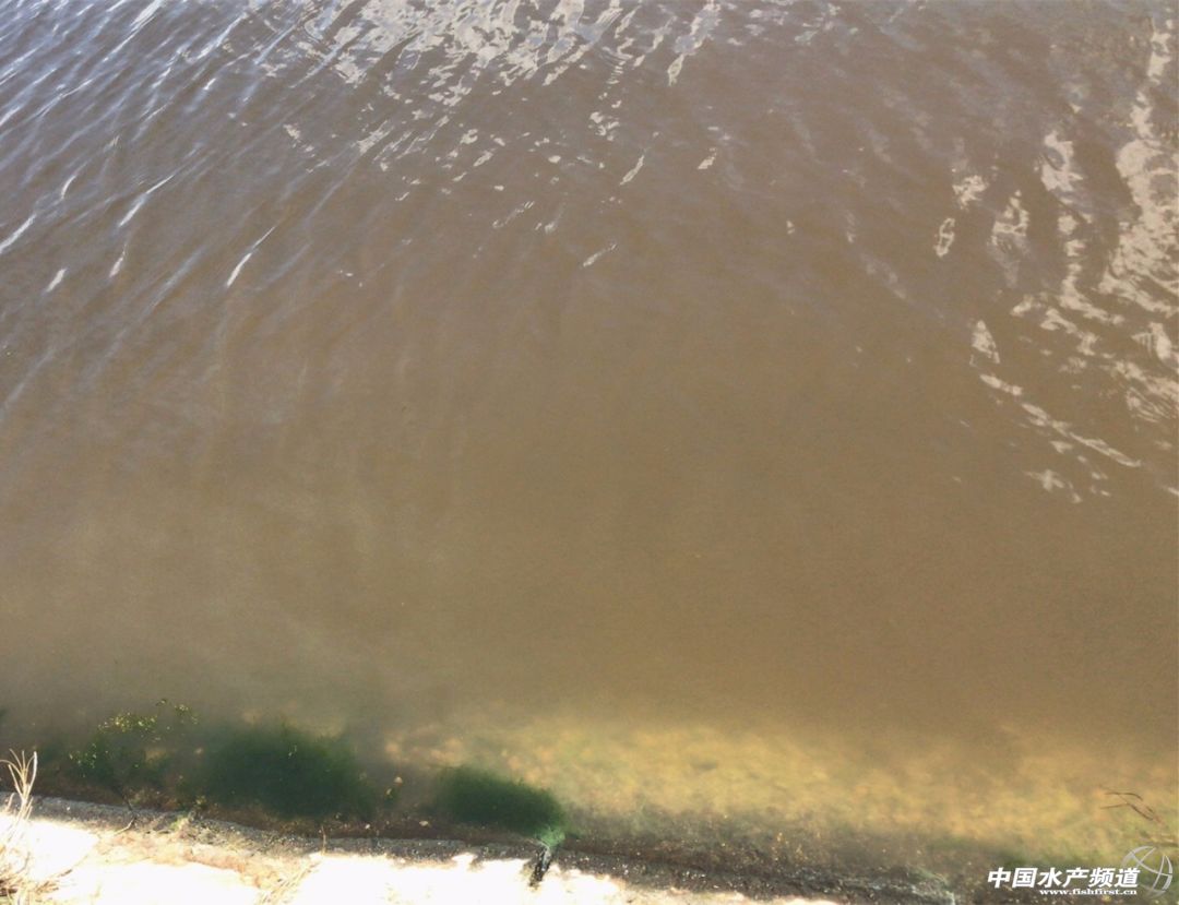 13�����Bֳ1����ٍ10�f���@�x̫�������ˣ�ح�ƏV