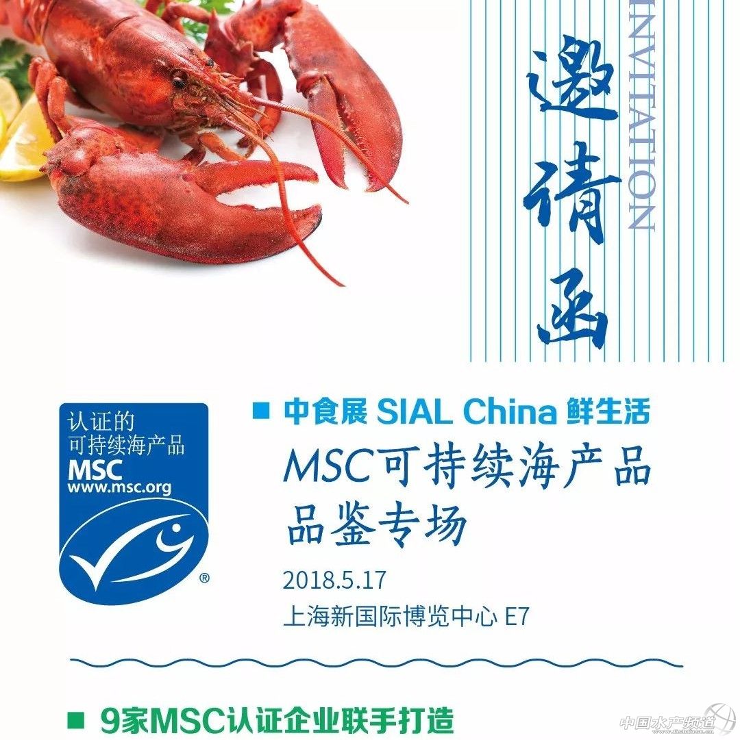 �ف���ȫ��MSC�ɳ��mҰ�����ƺ��r�F������Ʒ�b��