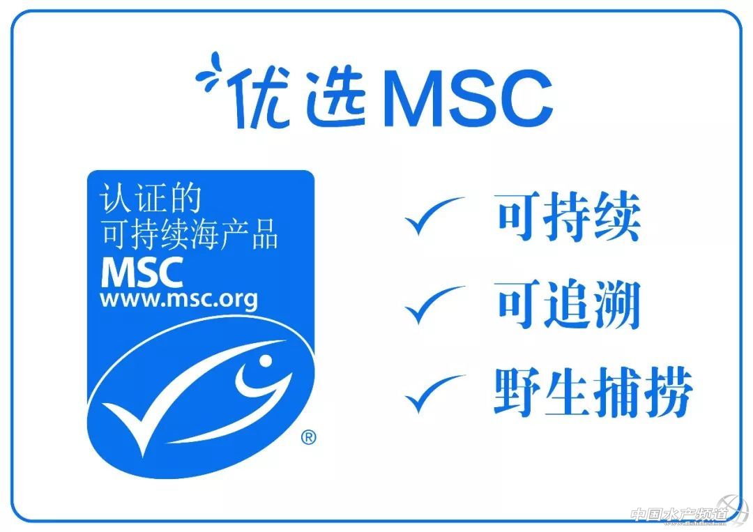 MSC�ɳ��m���r�м�����¡�������Ϻ���ʳչ��16-18�գ�ȫ��MSC�ɳ��mҰ�����ƺ��r�F������Ʒ�b��