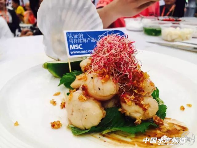 MSC�ɳ��m���r�м�����¡�������Ϻ���ʳչ��16-18�գ�ȫ��MSC�ɳ��mҰ�����ƺ��r�F������Ʒ�b��