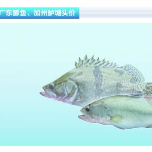 �����|���q�����@ �AӋ��������������ˮ�aǰ�ء�2018��5�¿��Ј�څ��