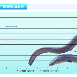 ���~���W�����r���ϝq ���ֵ؅^(q��)���������µ�������ˮ�a(ch��n)ǰ�ء�2018��5�¿��Ј�څ��