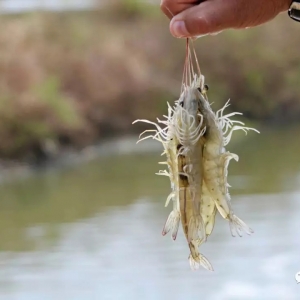 ��80��Ԫһ��Ј�(ch��ng)Ҳ����ȫ�򷶇���(n��i)�U(ku��)��