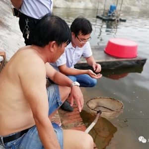 ������?n��i)�γɹ��B(y��ng)ֳ�׌�(du��)�r��ʯ���~(y��)�ͻ��r��