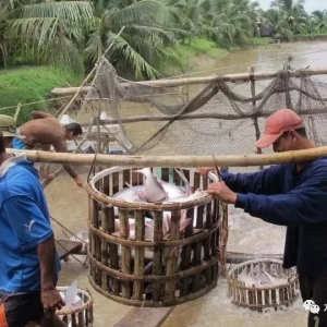 ��ɳ�~��Ҫ�����A��ˮ�a�Bֳ�I���ȸ��Bֳ�ͷ������g��