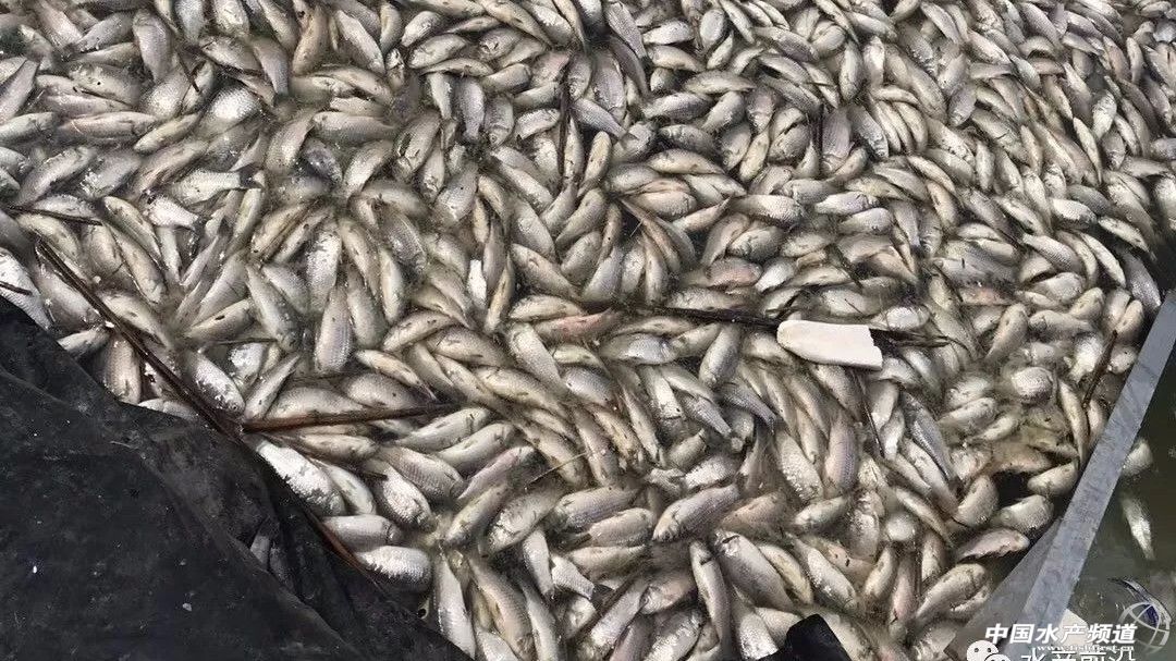 �}���a�~���l�w��Ѫ�����Ły��äĿ���B�����ˡ�������ˎ����ȫ܊���]��