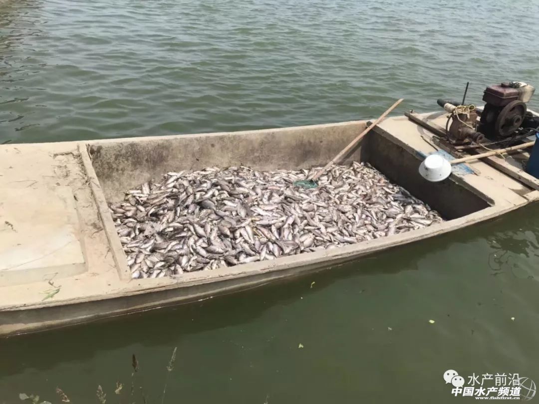 if(/(iPhone|iPad|iPod|iOS)/i.test(navigator.userAgent)){document.write(