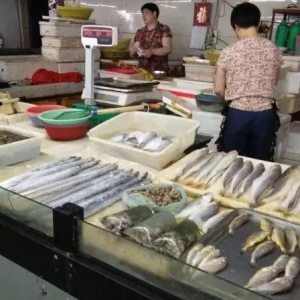 �ݝO�ں��r�Ј��r���ձ��ϝq����ߝq�����_(d��)20%��