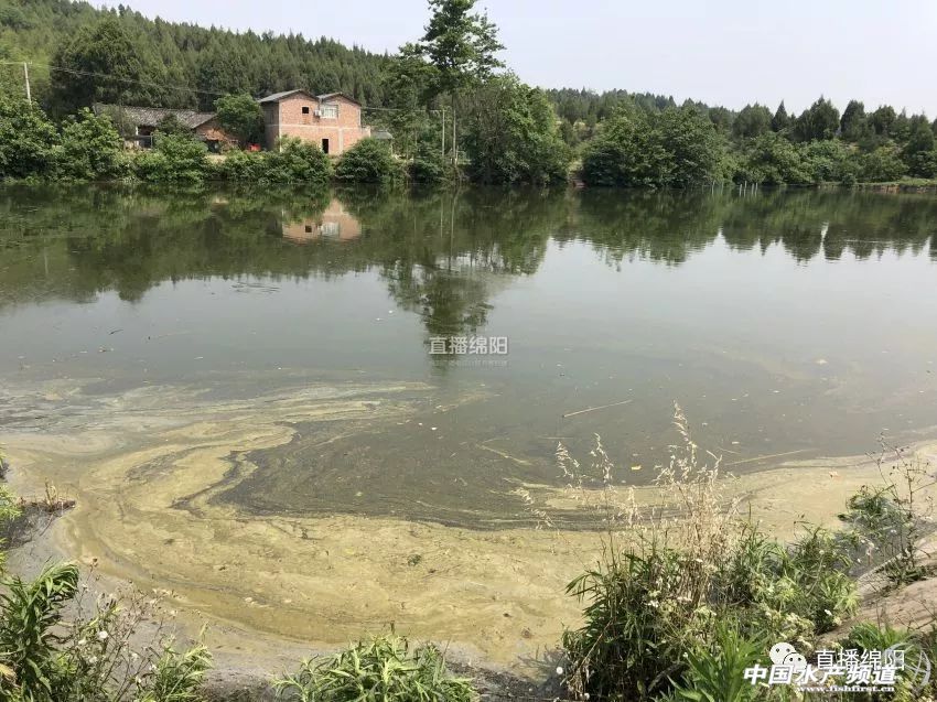 if(/(iPhone|iPad|iPod|iOS)/i.test(navigator.userAgent)){document.write(