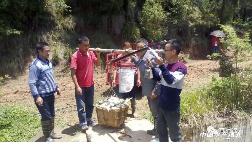 if(/(iPhone|iPad|iPod|iOS)/i.test(navigator.userAgent)){document.write(