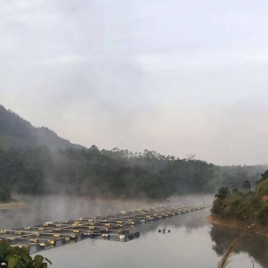 �����a�~���F�ϝqڅ�ݣ���ߝq0.2Ԫ������2018��5��20���a�~�r������