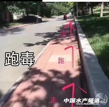 �@�꣡�������L(f��ng)��͵�u�~��������(z��i)������V�|����7��(g��)�_(t��i)�L(f��ng)�u��������8��(g��)���V��6��(g��)������8��(g��)���㽭5��(g��)...