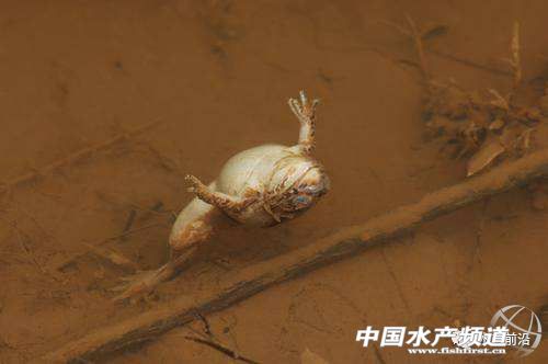 ˲�g�Ѻ����������S��ġ��^⛡�����Ʒ��90%���˻򲻶� | �^⛌��}���9