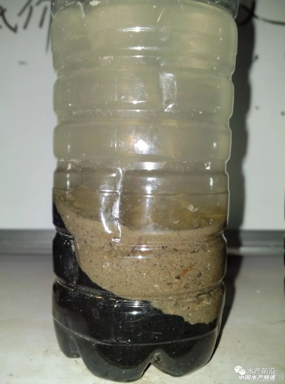 ˲�g�Ѻ����������S��ġ��^⛡�����Ʒ��90%���˻򲻶� | �^⛌��}���9