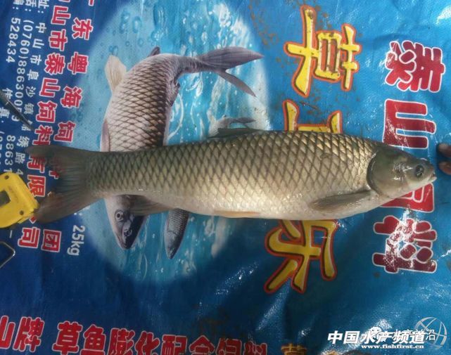 ���ܣ��@�����������������I��3��r�g���F���~�������L20�౶!