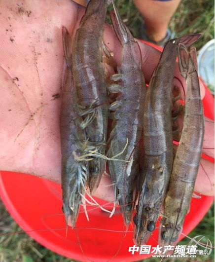 ��ʡ�p�Σ��V�|�����Ј�(ch��ng)���У��B(y��ng)����νЃr(ji��)���r�r(ji��)ͬ��ȥ���10Ԫ/��