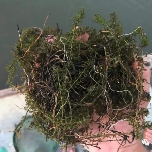 ���B�ú�з�������@һ�������ܣ��ͳɹ�һ�����