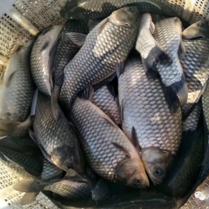 ��ˮ�~�r��ӭ�����죿�a�~�r�������ϝq������2018��5��27���a�~�r������