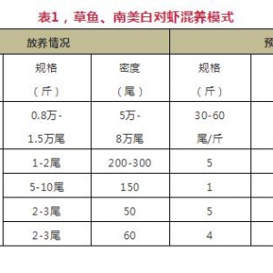 �B����˵����~��һ����߀��ٍ��ʮ�ϰ��f�����E