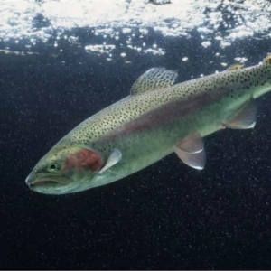 �����V�c�����~֮���������@3�����}߀��˼��