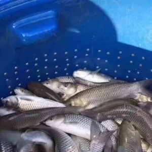 ȫ���󲿷ֵ؅^���~�r���»�������С����������2018��5��29�ղ��~�r������