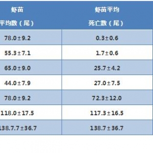 �^�����⛌��r��İ�ȫ�Ե����ж�ߣ�