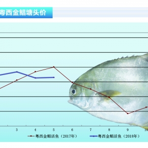 ���K���A�������~�rȫ�P�ϝq������ˮ�aǰ�ء�2018��6�¿��Ј�څ��