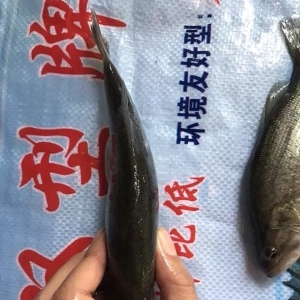 �܏V�|�~�rӰ푣�ȫ�������|�q��ϲ�ˡ�2018��5��30�ռ����|�r������