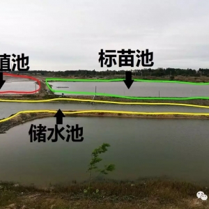 տ���؅^�����@�N��ģʽ�ɴ����������׌��r�Bֳ�ɹ���