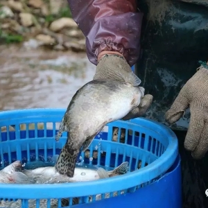 �Z�~���q���q���@�˲�����һ�z�x�棬�����Ƿ��������C������2018��5��30�չ��~�r���� ...