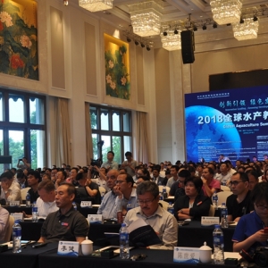 ����񣺇����ھGɫˮ�a�Bֳ�������@���c��������