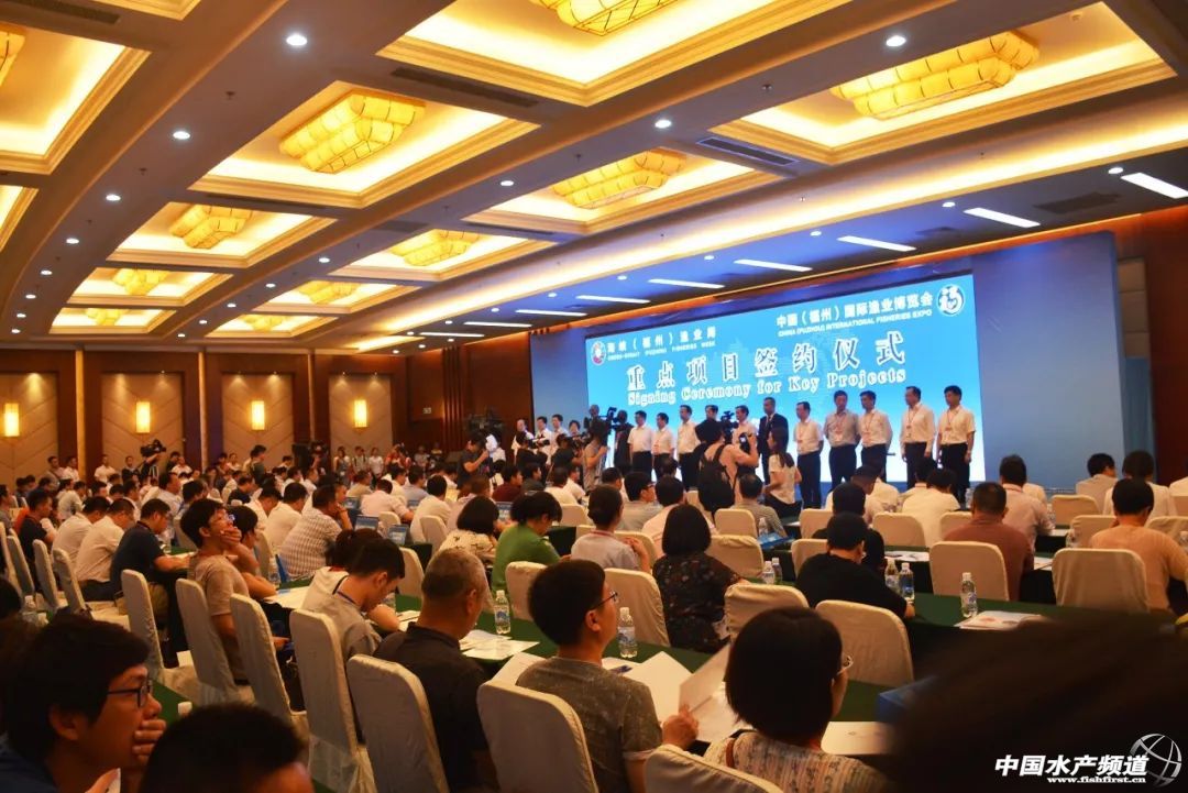 ���ݝO����(hu��)����ʢ���_(k��i)Ļ������(gu��)չ�̽M�F(tu��n)��չ���_(k��i)�����rʳ�Ļ����M(f��i)�r(sh��)��