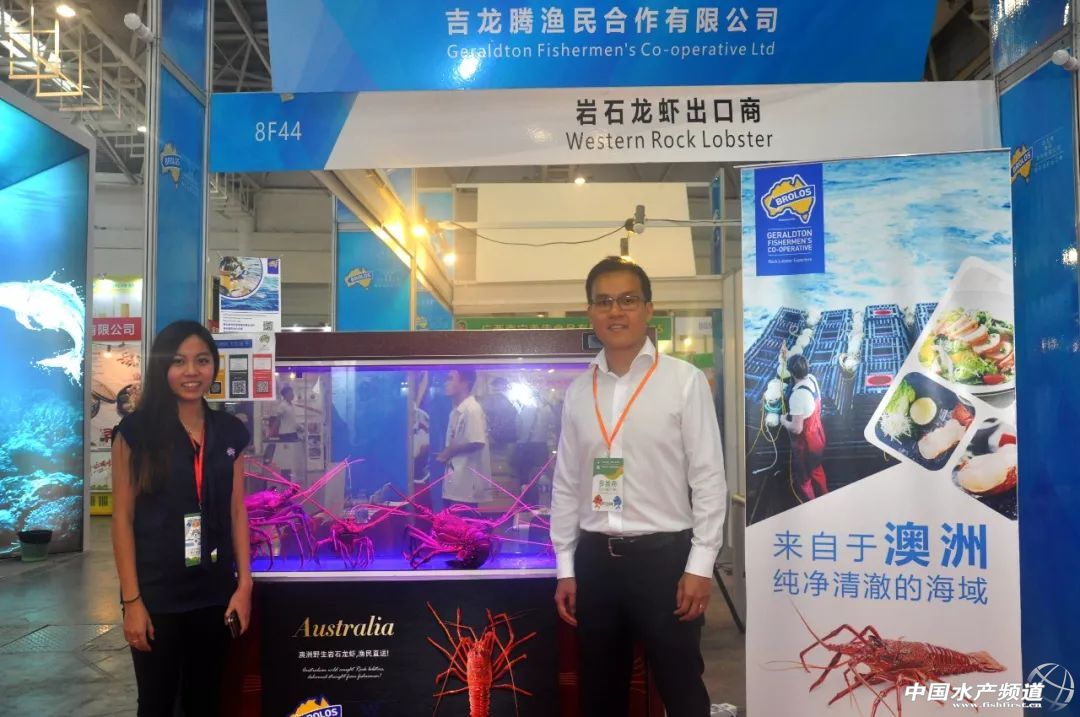 ���ݝO����(hu��)����ʢ���_(k��i)Ļ������(gu��)չ�̽M�F(tu��n)��չ���_(k��i)�����rʳ�Ļ����M(f��i)�r(sh��)��