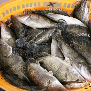 ֹ���������Z�~���챩�q4.5Ԫ/�����2018��6��4�չ��~�r������