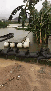 �o����������һƬ���󣡔��f���~���ܞģ����_�L�����hδ�Y����