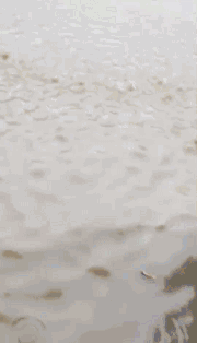 �o����������һƬ���󣡔��f���~���ܞģ����_�L�����hδ�Y����