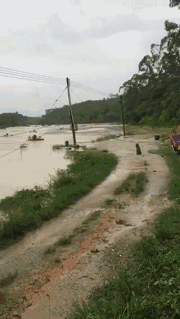 �o����������һƬ���󣡔��f���~���ܞģ����_�L�����hδ�Y����