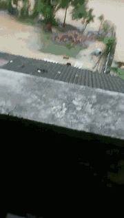 �o����������һƬ���󣡔��f���~���ܞģ����_�L�����hδ�Y����