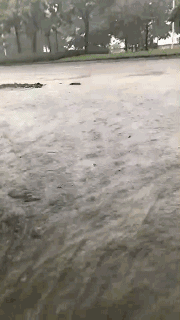 �o����������һƬ���󣡔��f���~���ܞģ����_�L�����hδ�Y����