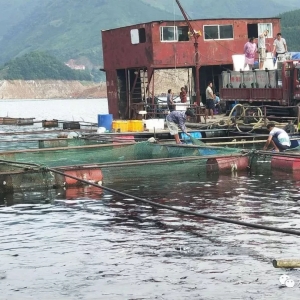 �Bֳ�������V���ֳ��_�W����������������15�f��ˮ�a���Ј���ʧ