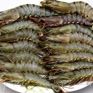 ���r�������a�^�Ј�����������ǰ4���M����r