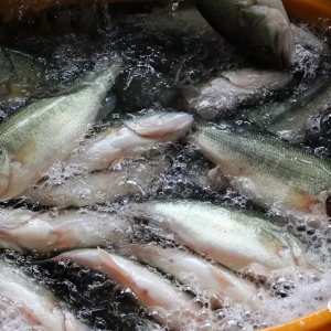 ���Ձ��R�������|�q���ܷ����m������6��11�ռ����|���^�r