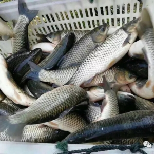 �ֲ�W�䣬���~������m���ԣ��A�|���A���»����@����6��12�ղ��~�r������