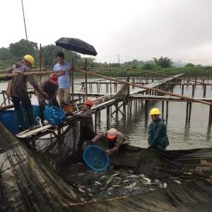 ߀Ҫ�q����ʡ�Z�~����ٝq3.5Ԫ/�����6��14�չ��~�r������