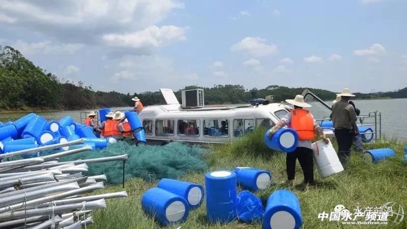 ���e��P���@Щ�˯��񓌽��W�䣬�̶�ʮ������10�fƽ�ף��Y������