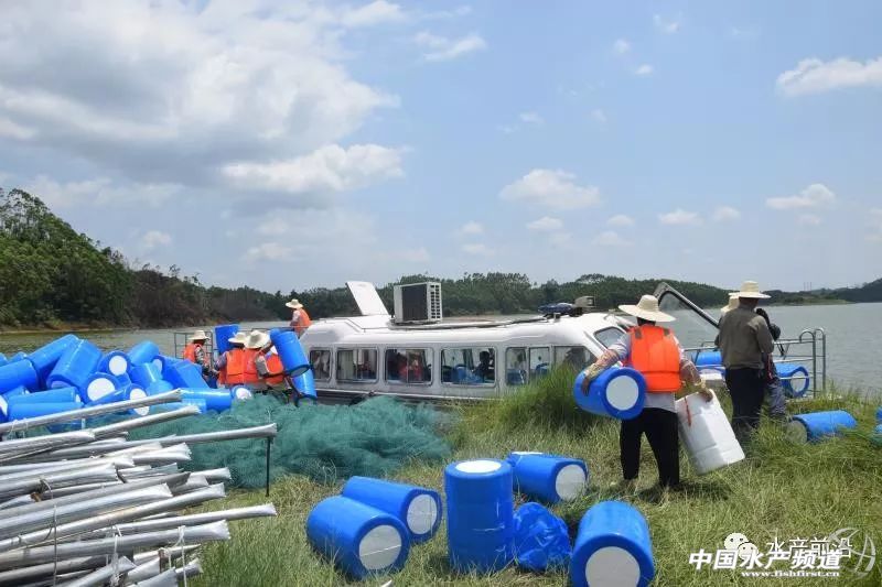 ���e(cu��)��P���@Щ�˯��񓌽��W(w��ng)�䣬�̶�ʮ������10�fƽ�ף��Y(ji��)������